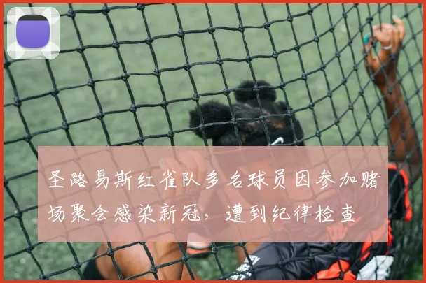 圣路易斯红雀队多名球员因参加赌场聚会感染新冠，遭到纪律检查