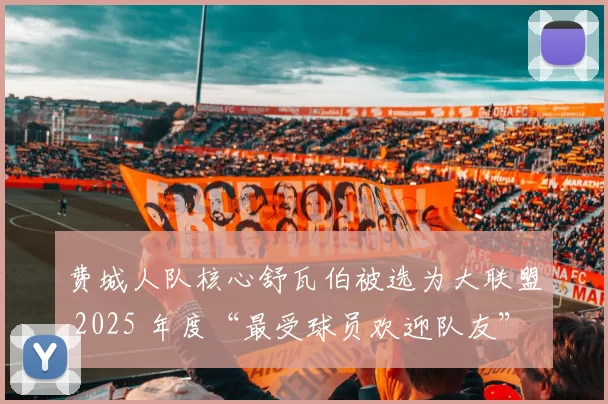 费城人队核心舒瓦伯被选为大联盟 2025 年度“最受球员欢迎队友”