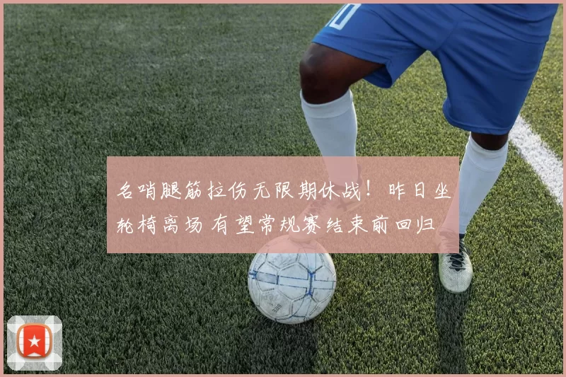 名哨腿筋拉伤无限期休战！昨日坐轮椅离场 有望常规赛结束前回归