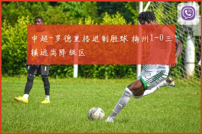 中超-罗德里格进制胜球 梅州1-0三镇逃离降级区