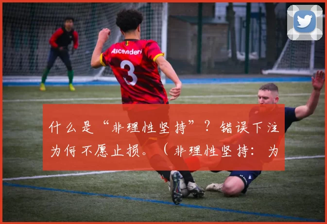 什么是“非理性坚持”？错误下注为何不愿止损。（非理性坚持：为何明知出错仍不肯止损？）