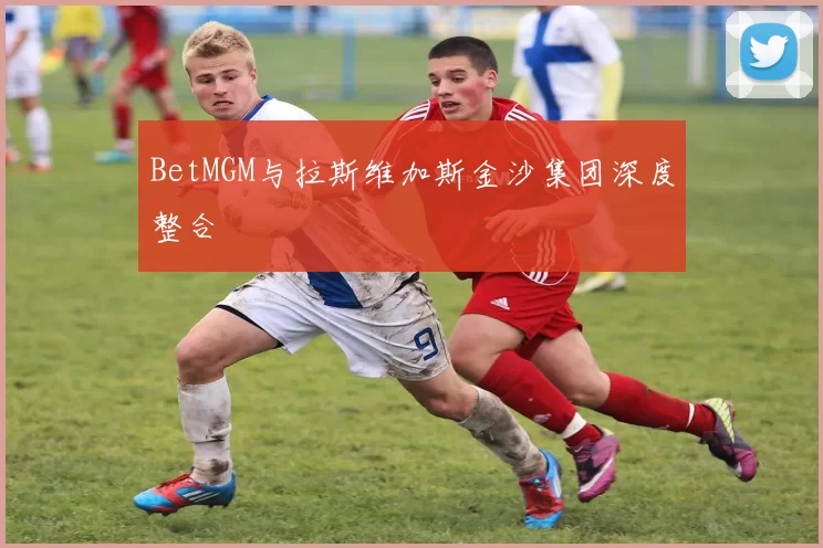 BetMGM与拉斯维加斯金沙集团深度整合