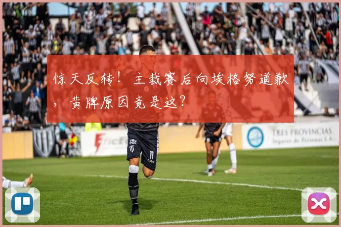 惊天反转！主裁赛后向埃格努道歉，黄牌原因竟是这？