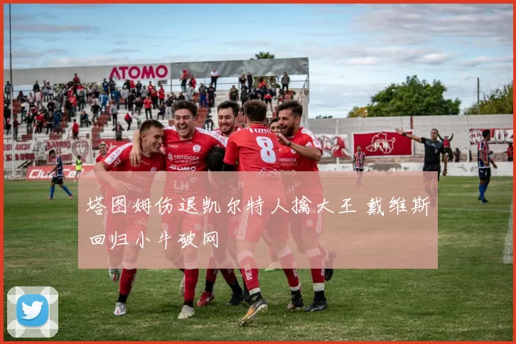 塔图姆伤退凯尔特人擒大王 戴维斯回归小牛破网