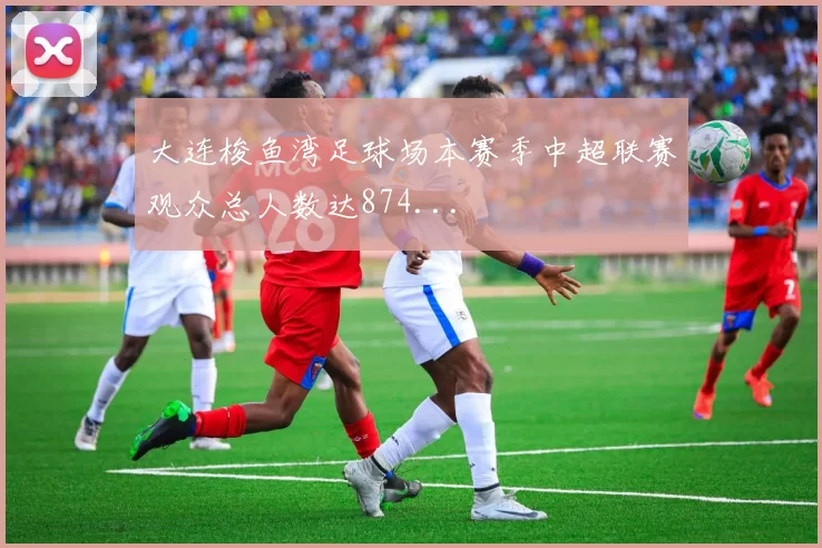 大连梭鱼湾足球场本赛季中超联赛观众总人数达874...