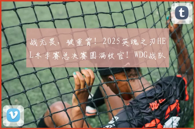 战无畏，破重霄！2025英魂之刃HEL冬季赛总决赛圆满收官！WDG战队成功卫冕！